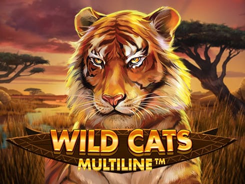 وائلڈ کیٹس ملٹی لائن game thumbnail